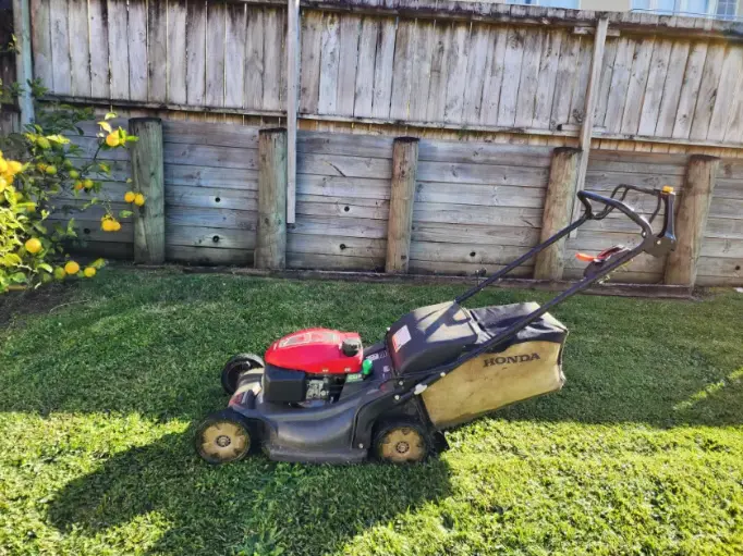 Lawn Mowing