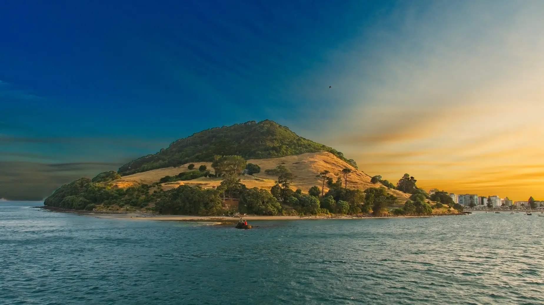 Scenic coastal landscape near Tauranga