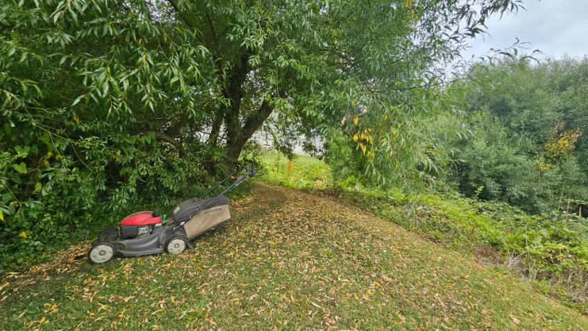 Honda mower by tree